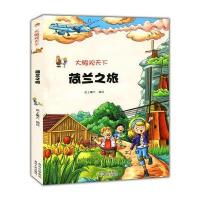 大眼观天下：荷兰之旅 9787221117144