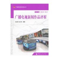 广播电视新闻作品评析