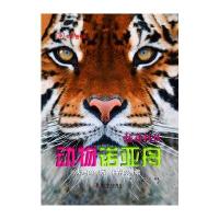 DK炫动科技—动物诺亚舟(精)