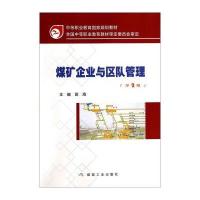 煤矿企业与区队管理(第2版)/中等职业教育国家规划教材