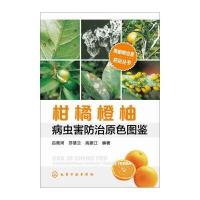 柑橘橙柚病虫害防治原色图鉴