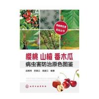 果树病虫害防治丛书--樱桃山楂番木瓜病虫害防治原色图鉴