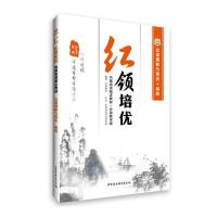 华图2016公务员红领培优内部培训指定教材:言语理解与表达 高级 (分级教学版)