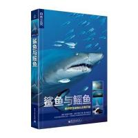 自然之灵 鲨鱼与鳐鱼(全彩)