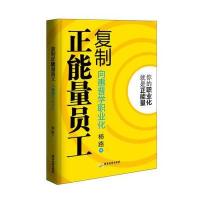 复制正能量员工--向惠普学职业化 9787807669111