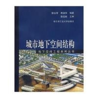 城市地下空间结构/地下空间工程系列丛书