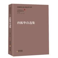 中国当代艺术批评文库 孙振华自选集 9787537842433