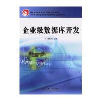 企业级数据库开发