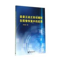 能量泛函正则化模型在图像恢复中的应用 9787121239861