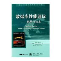 数据库性能调优：原理与技术