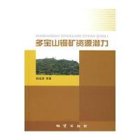 多宝山铜矿资源潜力