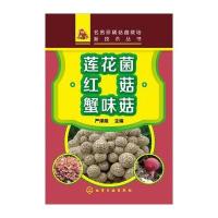 莲花菌 红菇 蟹味菇