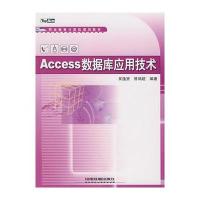 Access 数据库应用技术