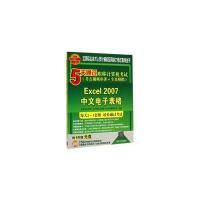 5天通过职称计算机考试(考点视频串讲＋全真模拟)——Excel 2007中文电子表