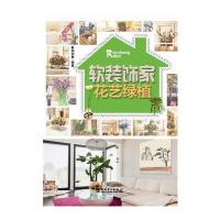 软装饰家——花艺绿植