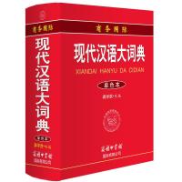 商务现代汉语大词典 9787517600213