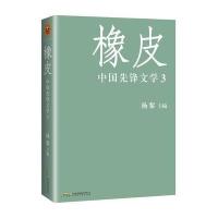 橡皮：中国先锋文学3