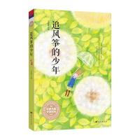 安武林主编套彩色儿童文学读本：追风筝的少年
