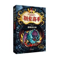 《驯龙高手9：窃取龙之剑》