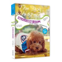 好狗狗的正面驯养