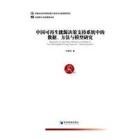 中国可再生能源决策支持系统中的数据、方法与模型研究