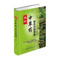 袖珍中草药野外识别图鉴