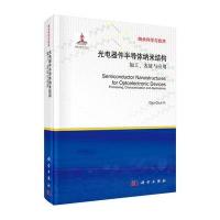 光电器件半导体纳米结构：加工表征与应用