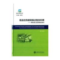 低品位热能转换过程及利用