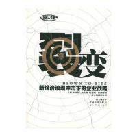 裂变：新经济浪潮冲击下的企业战略