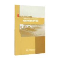 病险水库的大坝与安全(水利工程设计与研究丛书)