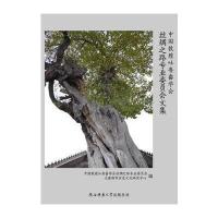 中国敦煌吐鲁番学会丝绸之路专业委员会文集