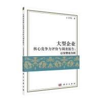 大型企业核心竞争力评价与调查报告 9787030438126