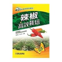 辣椒高效栽培