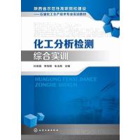 化工分析检测综合实训 9787122220011