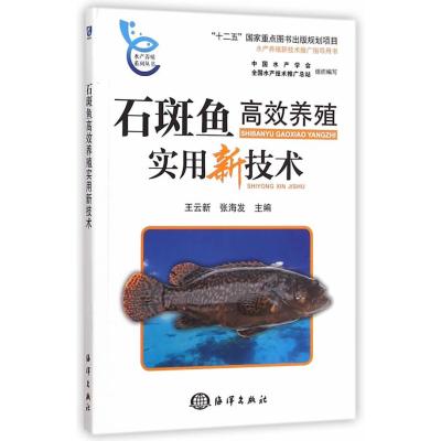 石斑鱼高效养殖实用新技术