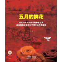 五月的鲜花 附CD一张