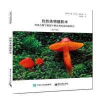 自然美物摄影术：传统与数字摄影中的自然风景拍摄技巧(第4版)