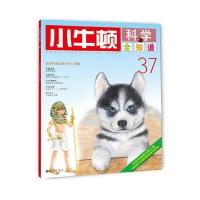 小牛顿科学全知道37