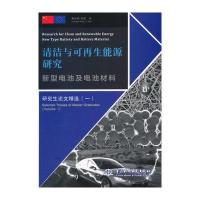 新型电池及电池材料(丛书名：清洁与可再生能源研究)
