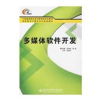 多媒体软件开发(附光盘)