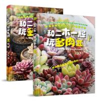 《和二木一起玩多肉II》 (上、下)(新浪多肉植物种植达人二木新作1亿人次阅读验证)
