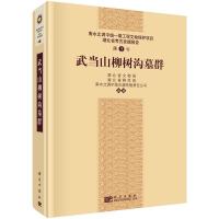 武当山柳树沟墓群