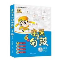 小学生字词句段篇：六年级下(人教版)