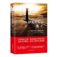 伊斯坦布尔逃亡