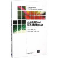 企业级典型Web信息系统项目实战