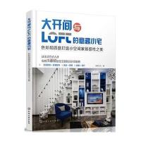 大开间与loft的意趣小宅--色彩和质感打造小空间家居感性之美