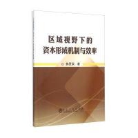 区域视野下的资本形成机制与效率