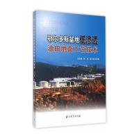 鄂尔多斯盆地低渗透油田地面工艺技术