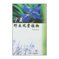 POD-宁夏野生观赏植物