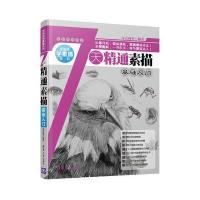 7天精通素描：基础入门 9787302415732